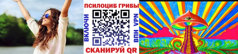 цена   Козьмодемьянск  Галлюциногенные грибы GOLDEN TEACHER 